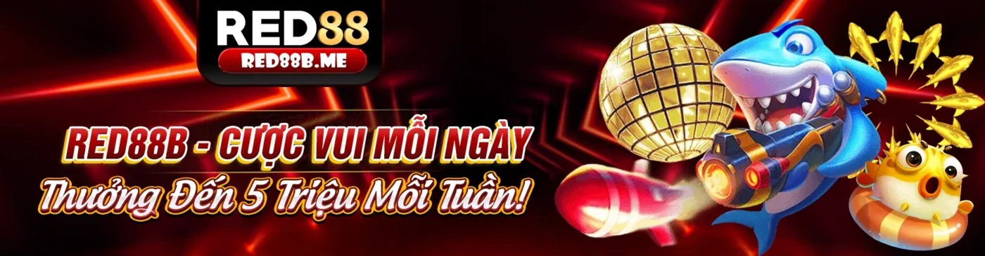 Khám phá ty le 5 game bài online tại ty le 5